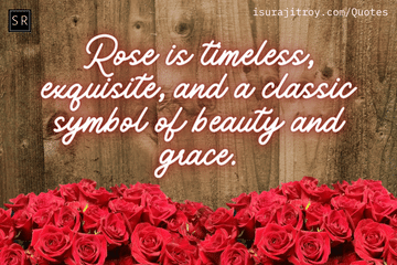 Rose is timeless, exquisite, and a classic symbol of beauty and grace. - A Rose day Quotes by Surajit Roy.