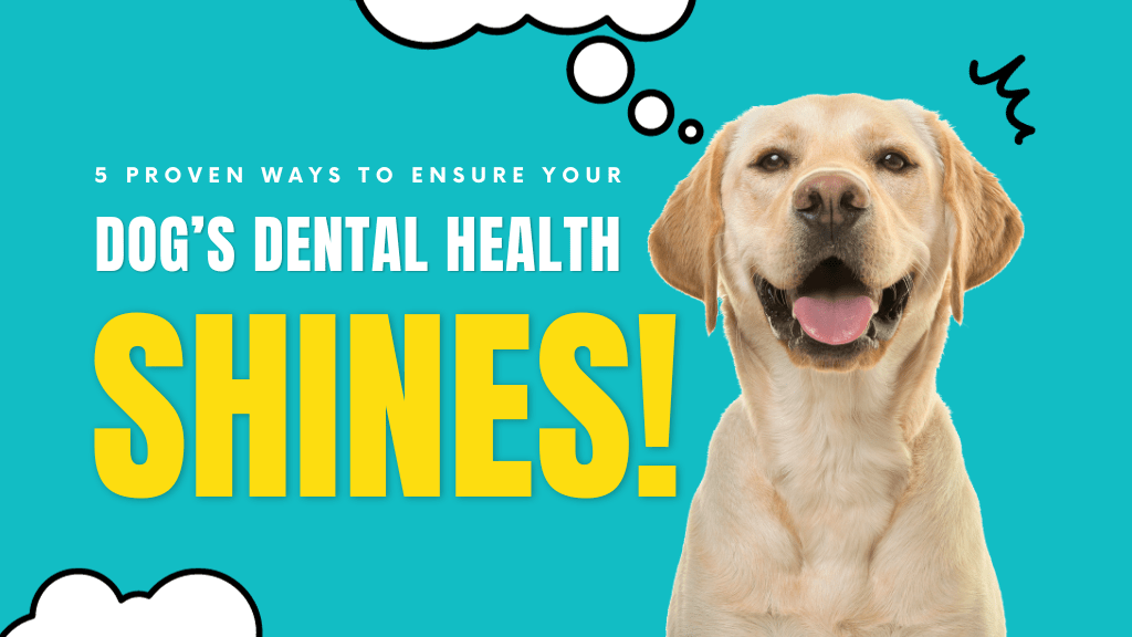 Get Ready to Say Goodbye to Doggie Dental Problems! Discover 5 Proven Ways to Ensure Your Pup's Dental Health Shines Brighter Than Ever!
