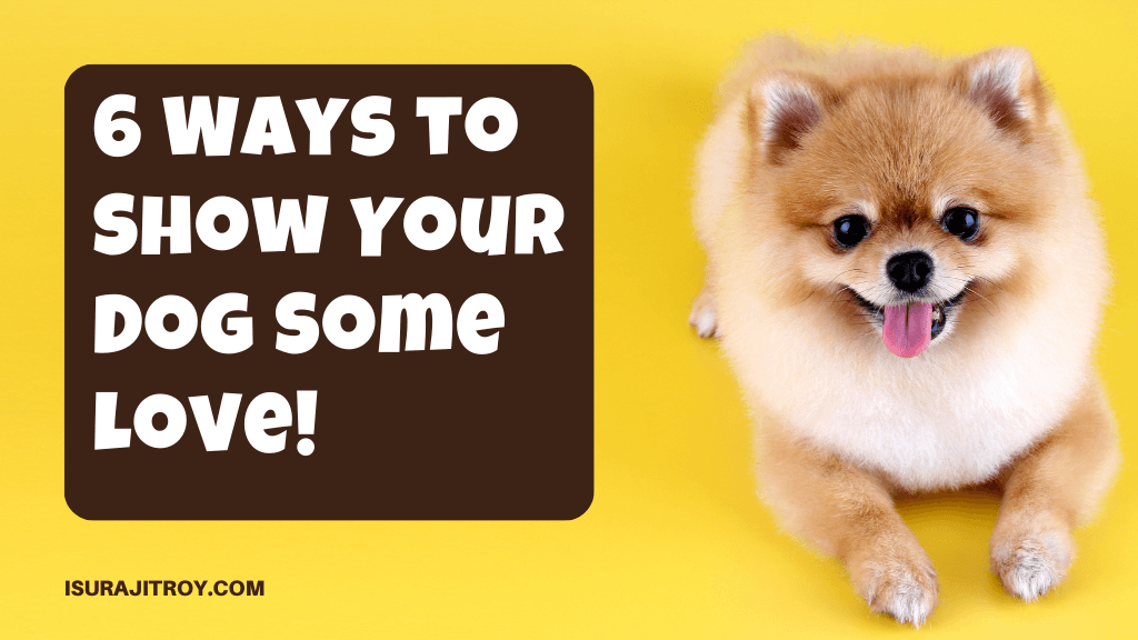 Unlock the Secret to Your Dog's Heart! 6 Irresistible Ways to Shower Your Furry Friend with Love and Affection 🐾💖 Don't Miss Out!