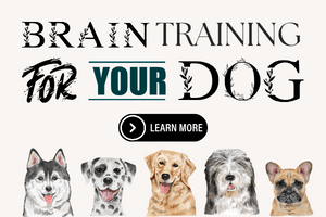 Brain Training for Dogs