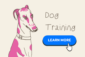 Brain Training for Dogs