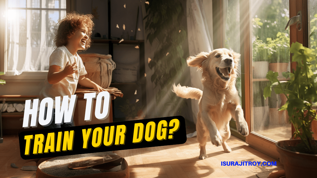  Learn How to Train Your Dog Like a Pro! Discover Expert Tips for a Well-Behaved Pup Now!