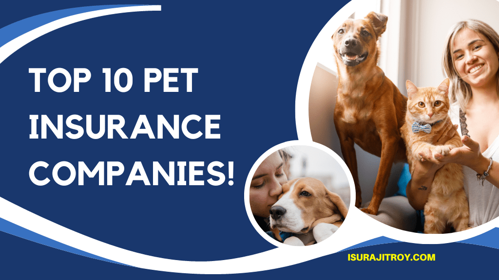 Protect Your Furry Friend Like Never Before! Top Pet Insurance Companies Revealed - Don't Risk Their Health and Happiness!
