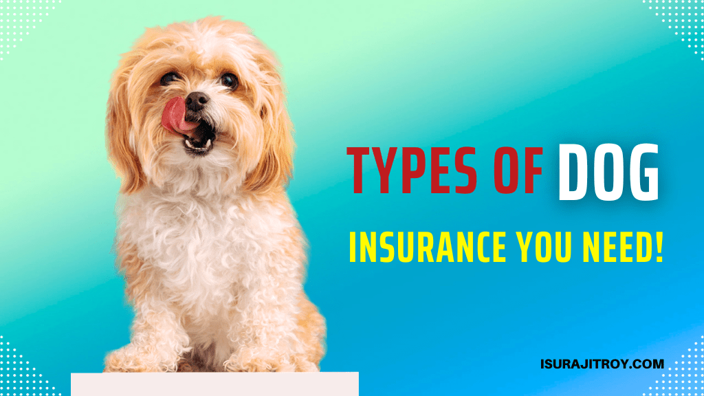 Don't Risk It! Discover the Must-Have Types of Dog Insurance That Will Protect Your Furry Friend Like Never Before! Get Informed Today!