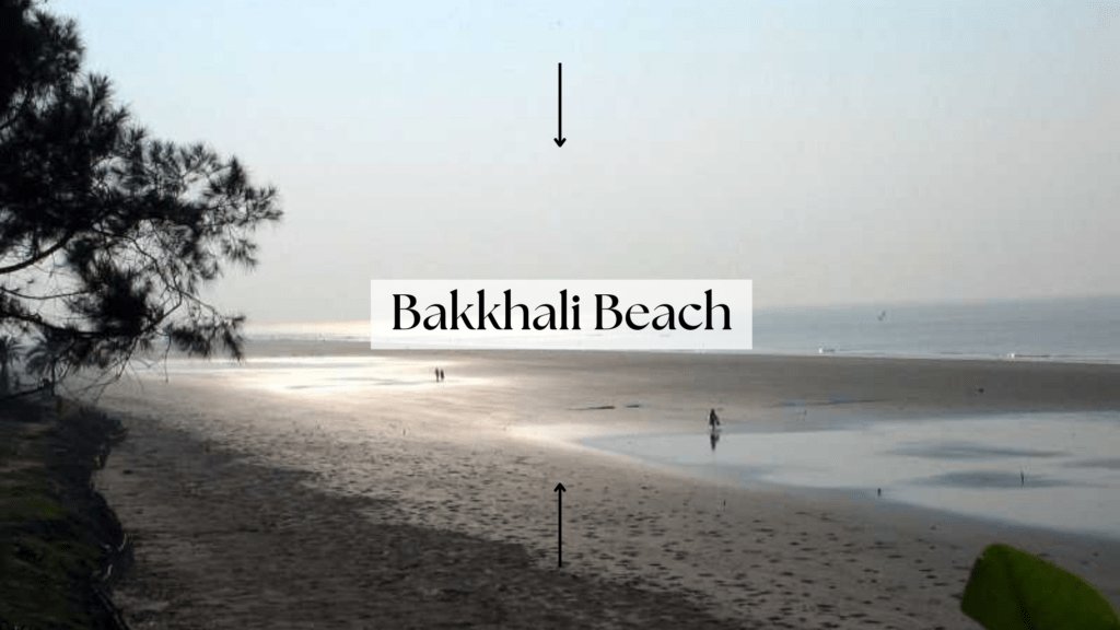 Unveil Bakkhali Beach: West Bengal's Hidden Coastal Gem! Serene Shorelines, Local Culture, and Tranquil Escapes Awaiting Your Discovery!