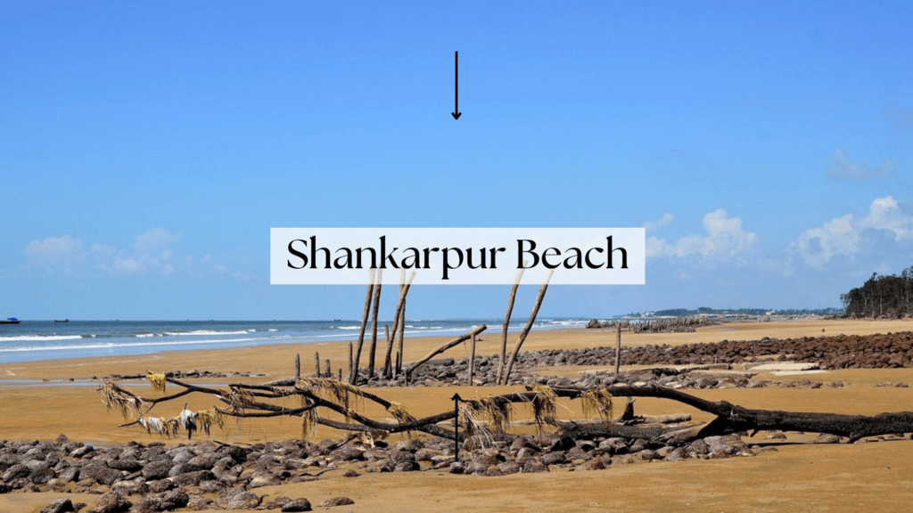Unveil the Serenity: Shankarpur Beach, West Bengal's Hidden Gem! Tranquil Waves, Secluded Shores, and Unforgettable Coastal Escapes Await You!