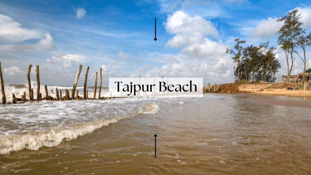 Discover Tajpur Beach: West Bengal's Secret Coastal Retreat! Pristine Sands, Red Crabs, and Serene Sunsets Await Your Exploration!