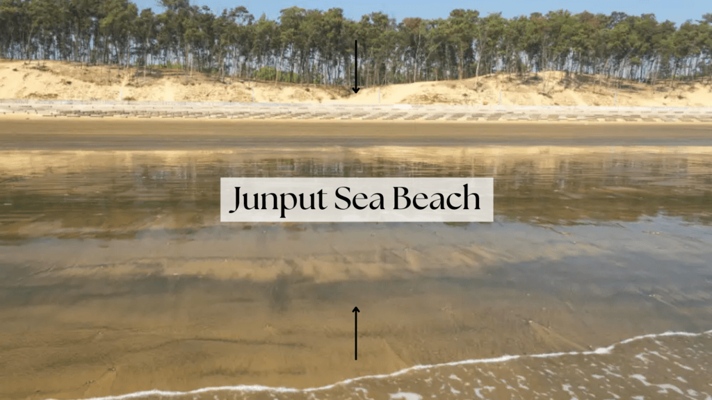 Junput Sea Beach: West Bengal's Best-Kept Secret! Serenity, Solitude, and Unrivaled Coastal Charm Await Your Discovery!