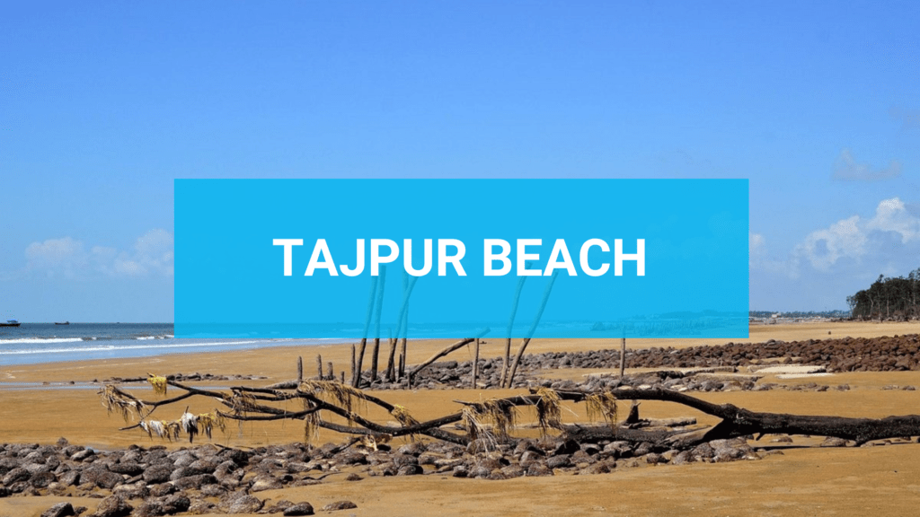 Unveil Coastal Paradise at Tajpur Beach: Your Guide to Serene Sands and Seaside Charms in West Bengal! Start Your Beach Adventure Today!