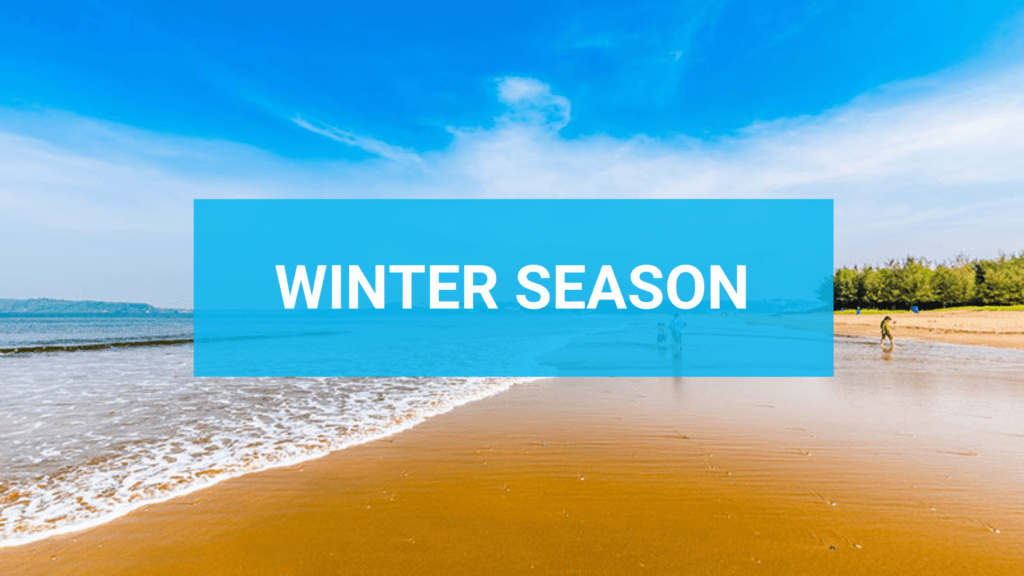 Embrace Winter Wonders on West Bengal's Coast! Your Ultimate Guide to Coastal Charms in the Serene Winter Months - Discover Now!