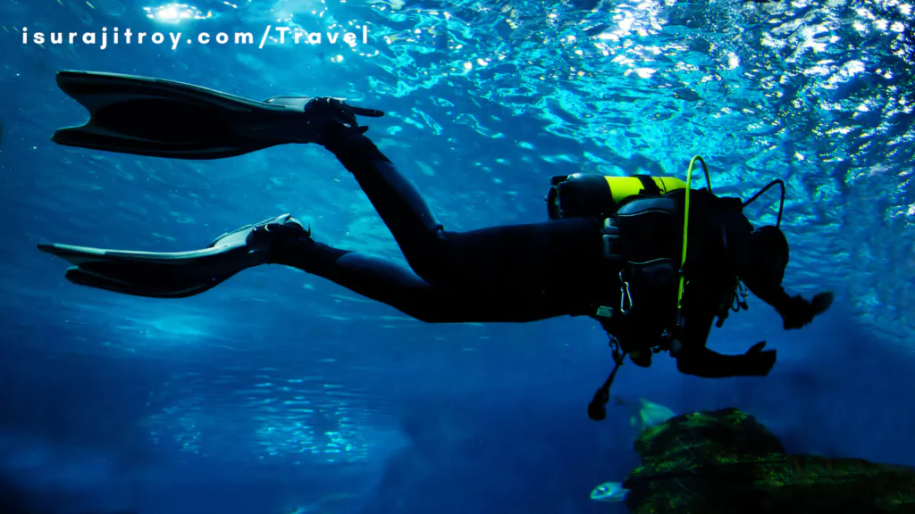 Dive into paradise! Explore vibrant coral reefs and exotic marine life as you snorkel and dive in the mesmerizing Red Sea. Your underwater adventure awaits!