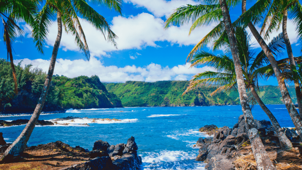 Escape to Maui's Tropical Paradise! Sun-kissed beaches, crystal-clear waters, and laid-back vibes await. Discover the magic of Hawaii's hidden gem!