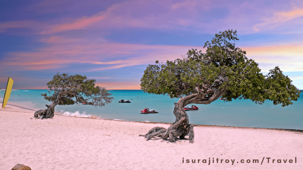 Dive into Paradise at Eagle Beach, Aruba! Immerse yourself in pristine sands, crystal-clear waters, and the ultimate tropical escape. Discover why it's the jewel of the Caribbean!