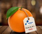 When a Mandarin Is Not an Orange